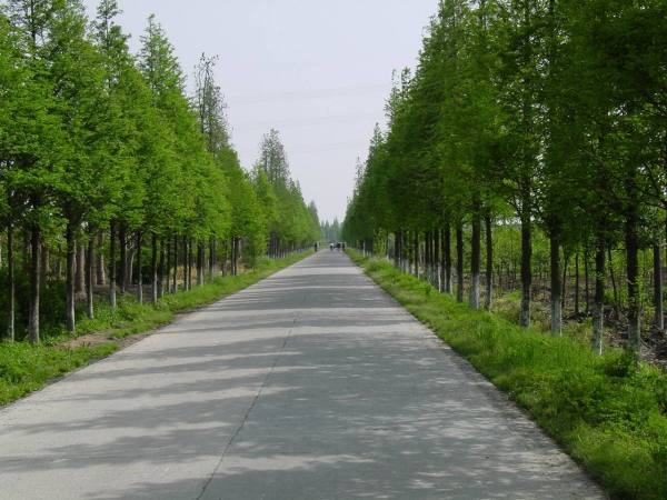 公路工程包括哪些